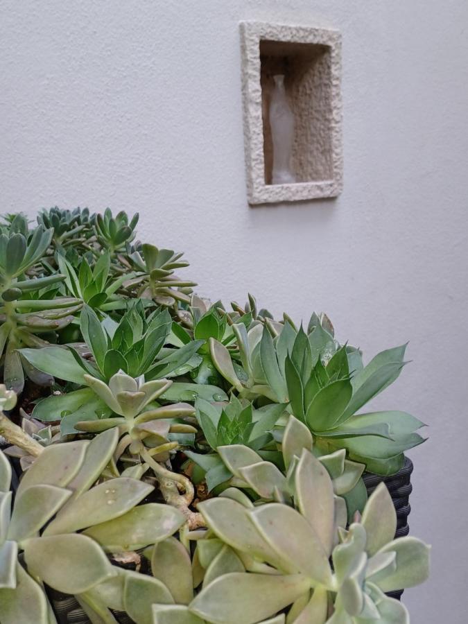 דירות מאלצ'סינה Monnalisa House מראה חיצוני תמונה